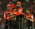 With momentum on their side, confident RCB to challenge Gujarat for final berth