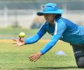 India women hope to lift their fielding in the T20 tri-series