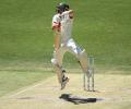 PIX: Starc dominates for Australia as New Zealand crumble