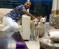 PIX: Dhawan welcomes two new 'family members'