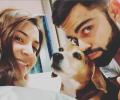 Kohli, Anushka mourn loss of pet dog Bruno