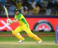 David Warner, Hayley Matthews bag ICC awards