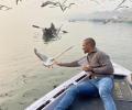Dhawan feeds birds; fans remind him of bird flu