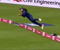 Check Out Harleen's SUPER Catch!