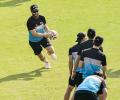 The Kiwis Get Ready for Test 1