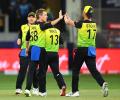 Finch lauds 'world class' Zampa