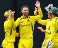 Carey, Labuschagne guide Aus to consolation win over SL
