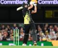 Warner hails 'godsend' Tim David after Brisbane blitz