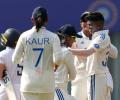 India taught us how to play in these conditions: Knight