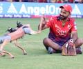 Champak takes IPL to Court over robo dog name