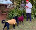'Santa' Sachin's Christmas Post Goes Viral