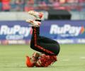 SRH Vs RR: Who Took The Best Catch? Vote!