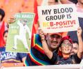 PIX: RCB, Kohli Fans Descend At Mullanpur