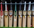 Rising cost of English willow prompts MCC to change law