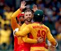 Comfortable as underdogs, says Zimbabwe assistant coach ahead of India clash