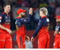How RCB Cultivated A Winning 'Hunter Mindset' In IPL