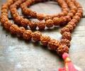 Rudraksha: The new fashion statement