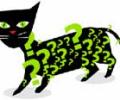 CAT: Gear up for surprises