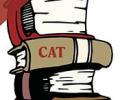CAT strategy for D-day 
