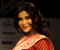 Saris are sexy: Nandana Sen