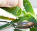 The many health benefits of aloe vera