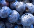 Blueberries may reduce blood pressure