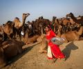 #Pushkarfair2015: 12 fantastic reasons why you should head to Pushkar