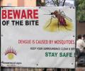 Dengue: Myths and facts