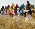 In pix: How Indians celebrate Baisakhi