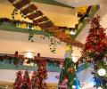 Christmas pix: Colourful trees, cribs and more