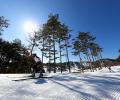 In photos: 10 stunning reasons to visit Pyeongchang after the Winter Olympics