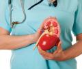 What you must know about a kidney transplant