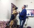 Pet pics: 'I love my German Shepherd'