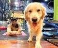 Hrithik Roshan and his pet enjoy self-isolation