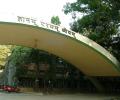 Job Offers: 2nd Gen IITs score big