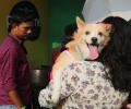 People need pets to fill emotional deficit, says Mumbai court