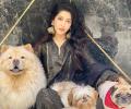 Sonarika's Fashionable Pets
