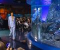 Oh fish! A fashion show in an aquarium