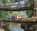 Why We Love Meghalaya's Living Root-Bridges