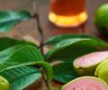 Can Guava, Chikoo, Papaya Reduce Blood Sugar?