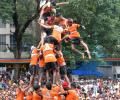 Dahi Handi: Insurers Cover 90,000+ Govindas