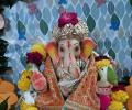 'Bappa Has Always Granted My Wishes'