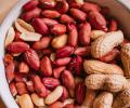 Eat More Peanuts: 7 Benefits Of This Protein-Rich Nut