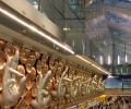 Delhi Ahead Of Shanghai: 9th Busiest Airport In The World
