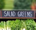 7 Greens You Ought To Be Eating