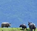 7 Reasons Why Assam Is Awesome