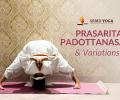 Yoga Special, Day 5: Prasarita Padottanasana