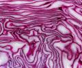 Recipe: Rajesh's Cabbage Szechuan Rice