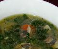 Chicken-Mushroom Soup: 15-Min Recipe