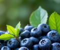 Just A Handful Of Blueberries A Day: 7 Reasons